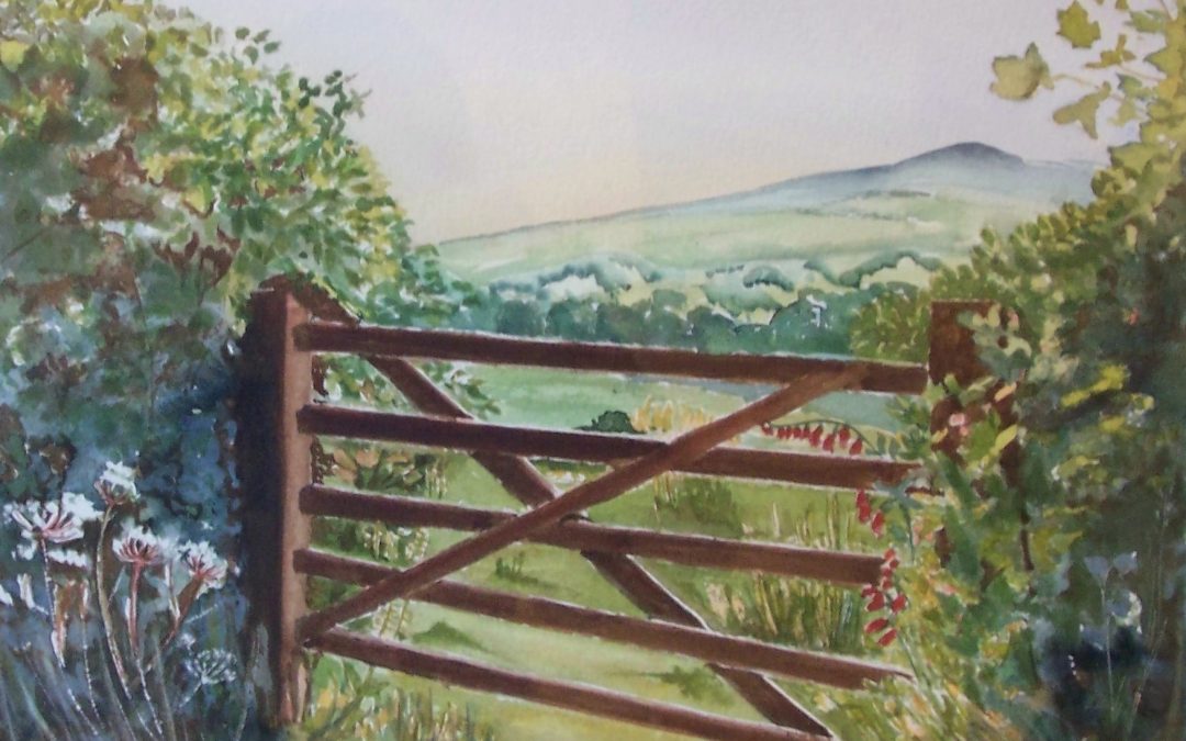 Gate onto Dartmoor